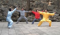 Chen style Tai Chi Chuan practice (photo by pfctdayelise)