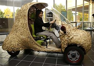 Bamboo electric car