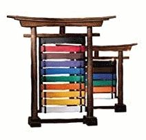 Showcase your humility with this classy belt rack, $49.95