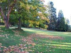 Bitter Lake Park