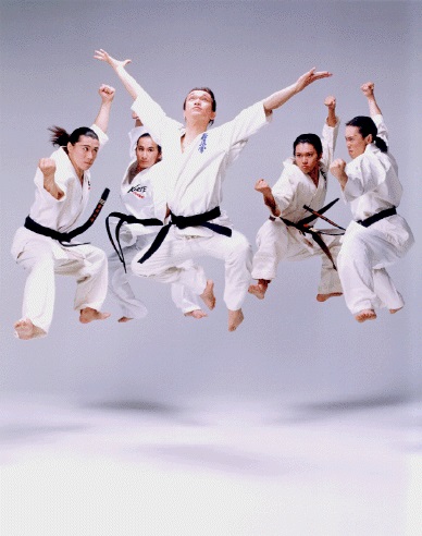 YES ATA TaeKwonDo Dobok Uniform/Karatedo/Black Belt Club/Martial arts Uniform 