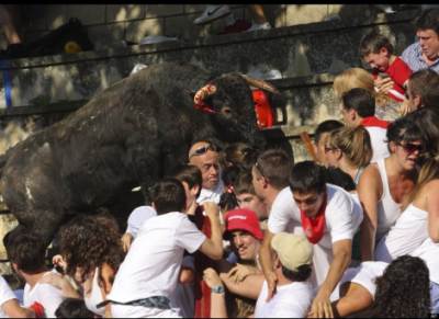 Bull tramples crowd