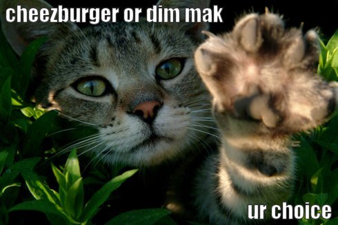 Cheezburger or dim mak ur choice