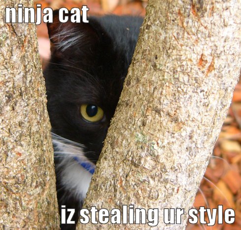 ninja cat iz stealing ur style