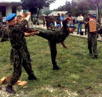 Karate demonstration